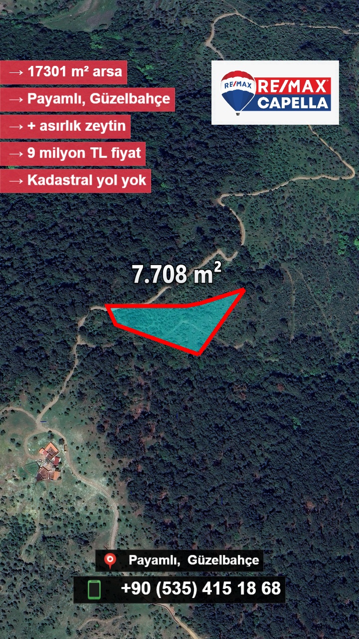 Payamlı-1103/51 1103/49 iki parsel olarak satılıktır. aradaki parsel orman bakanlığına ait olup 1103/50  11800 metre kare istenilirse kiralanabilir.