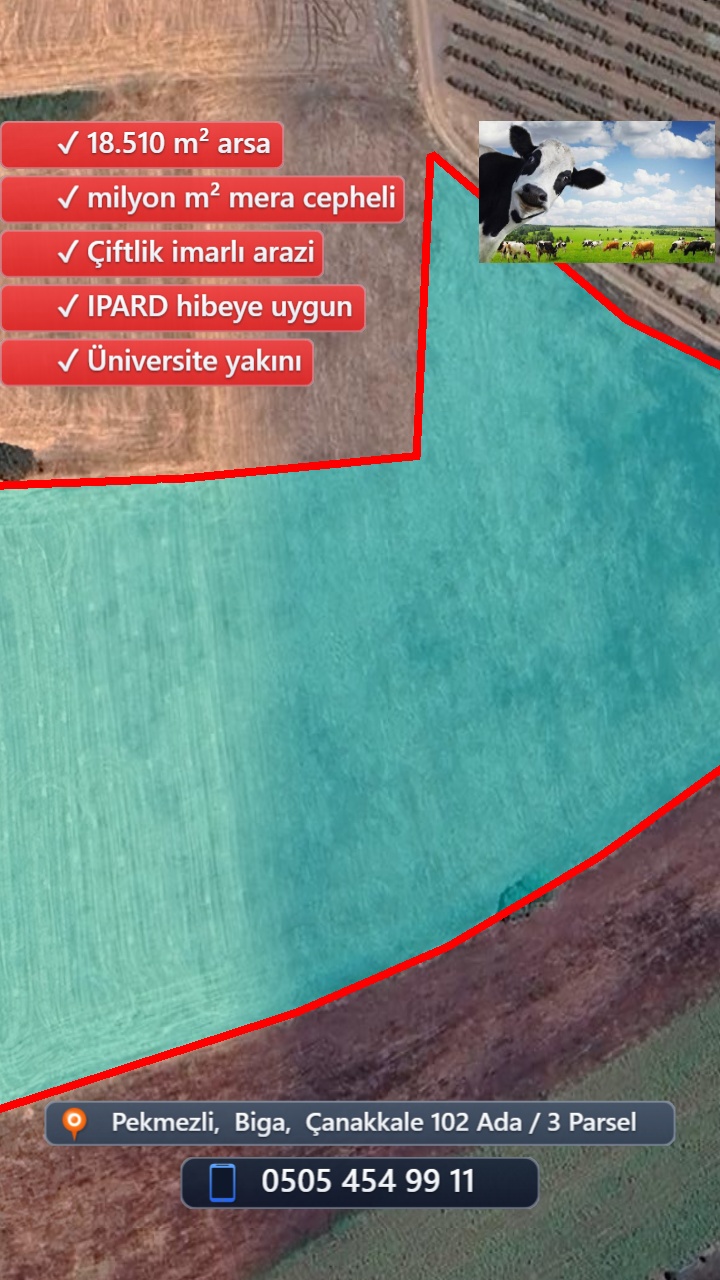 Drone Fotoğraf 1