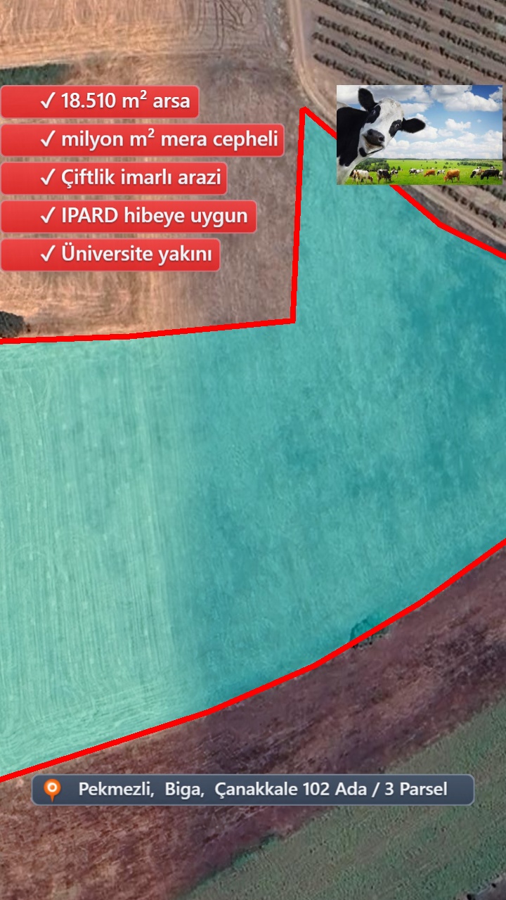 Drone Fotoğraf 1