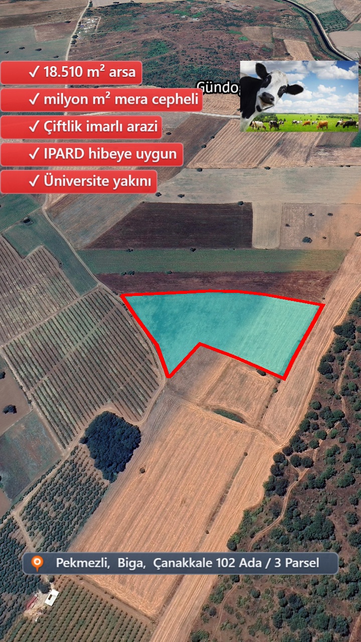 Drone Fotoğraf 8