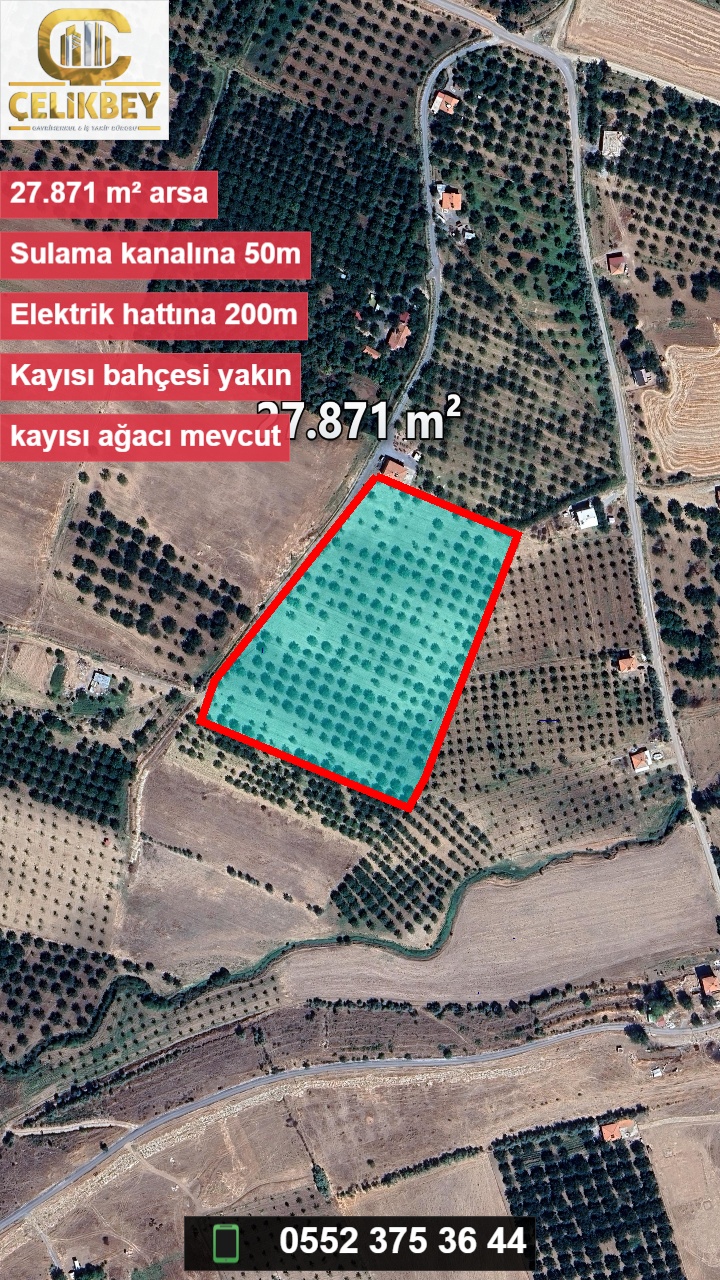 Büyükçimiş-116/14