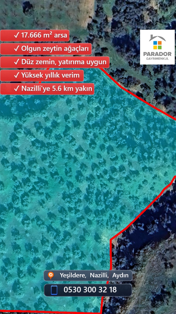 Drone Fotoğraf 1