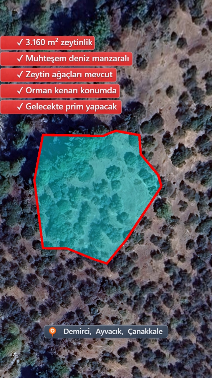 Drone Fotoğraf 1