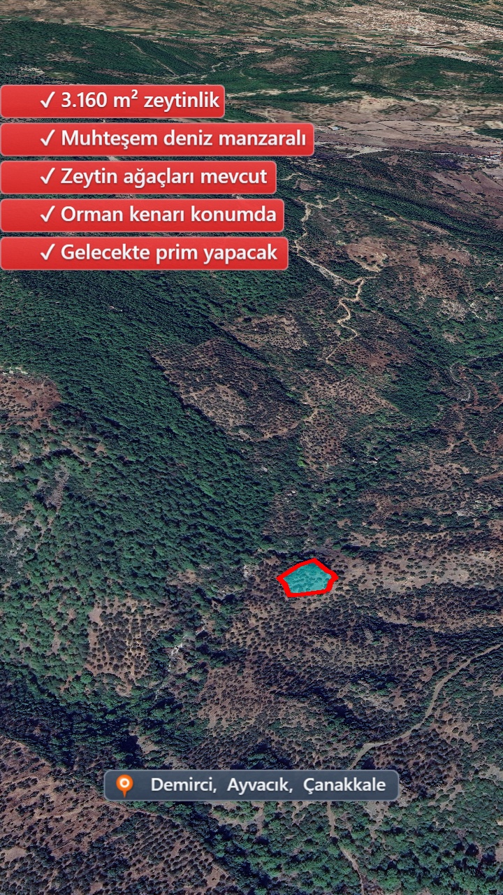 Drone Fotoğraf 7