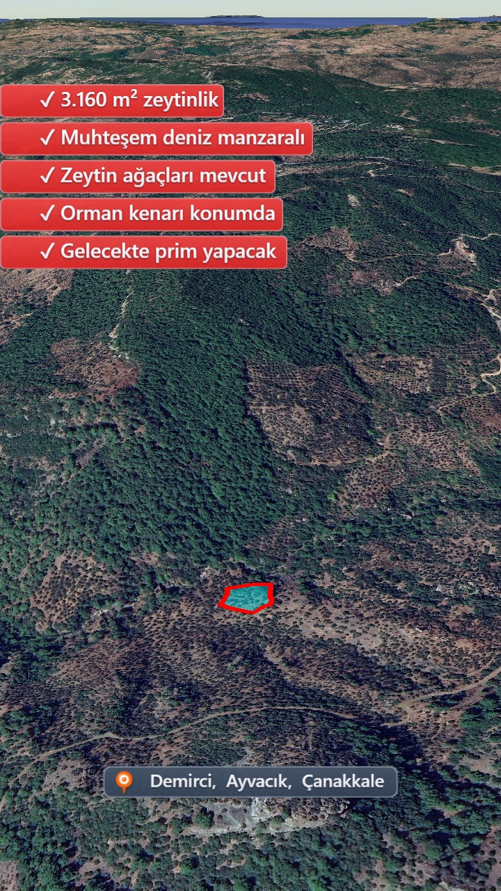 Drone Fotoğraf 8