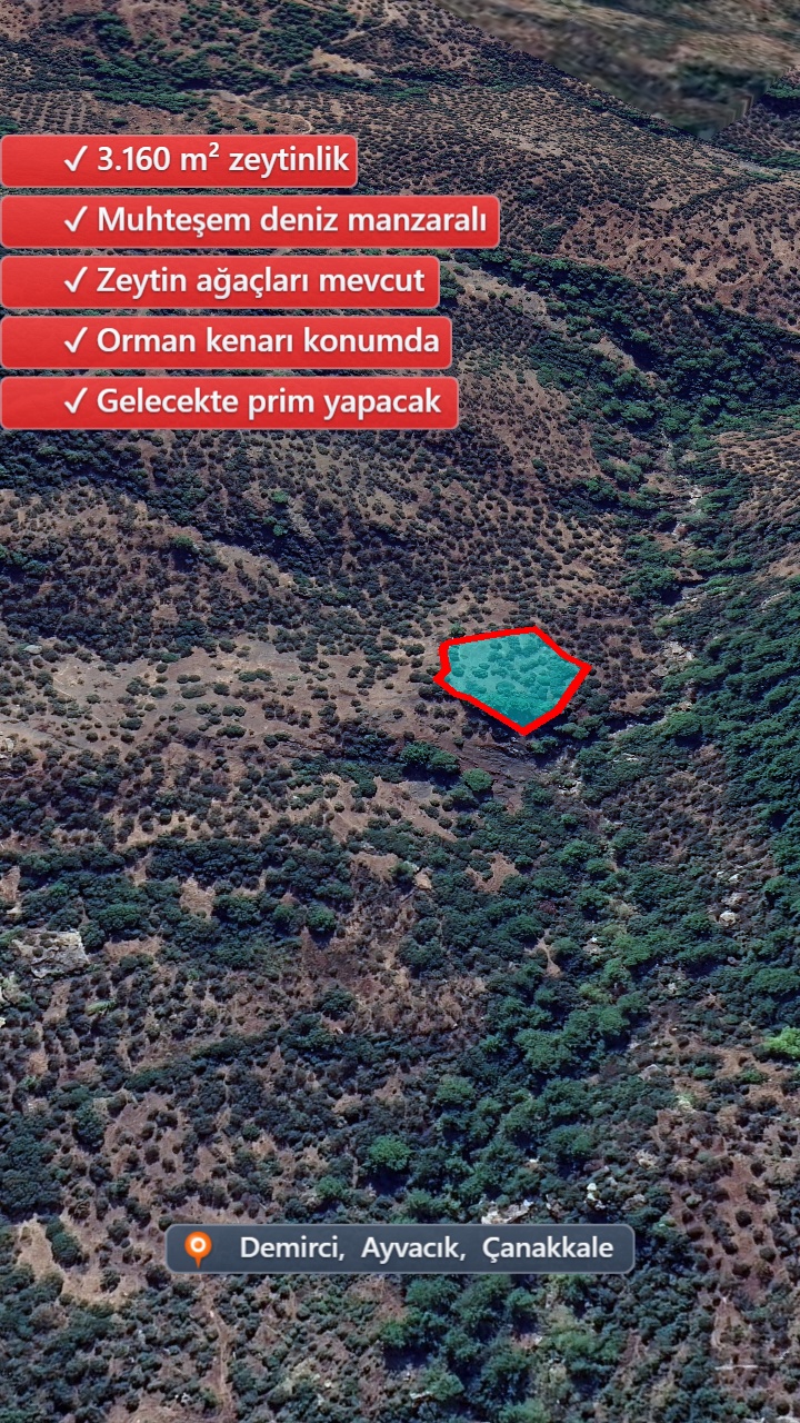 Drone Fotoğraf 6
