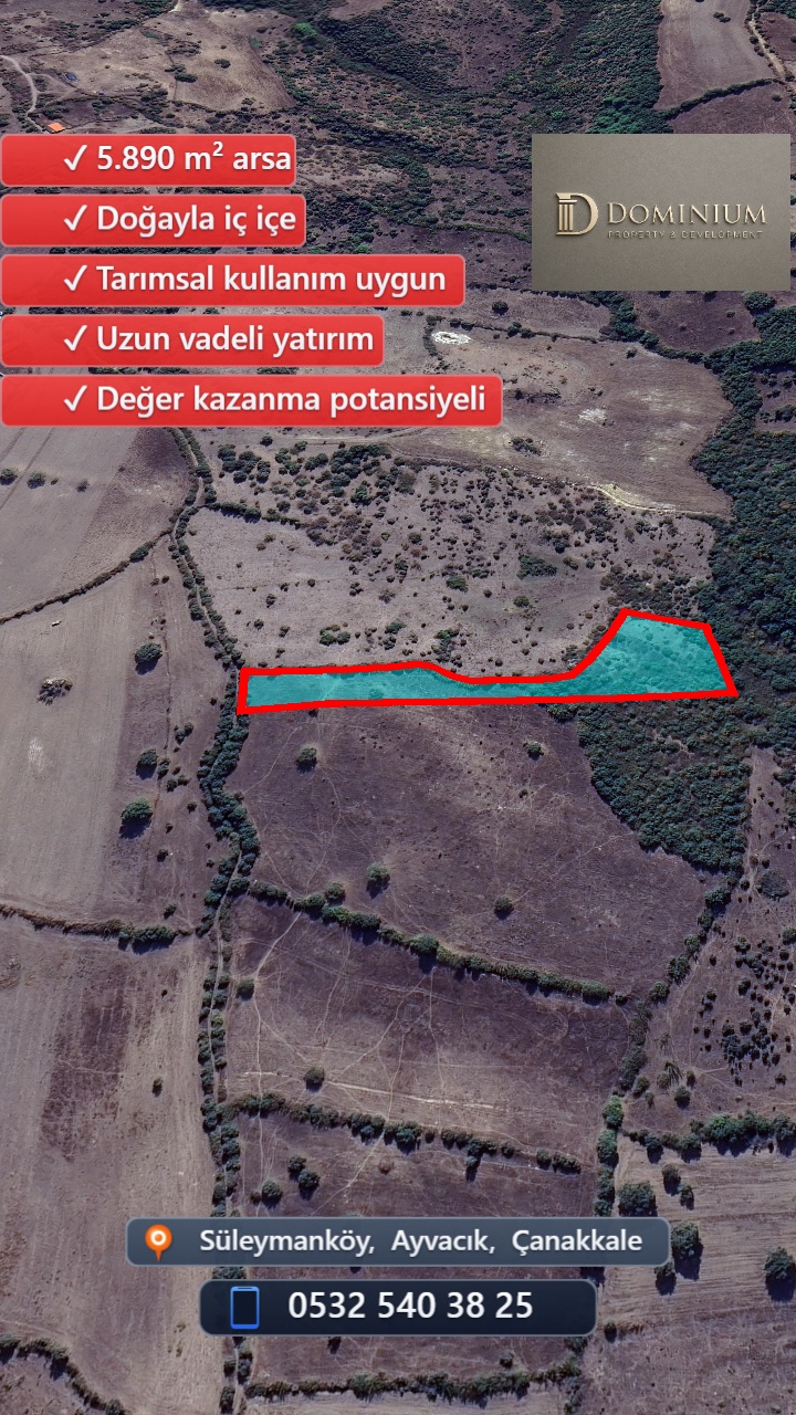 Drone Fotoğraf 6