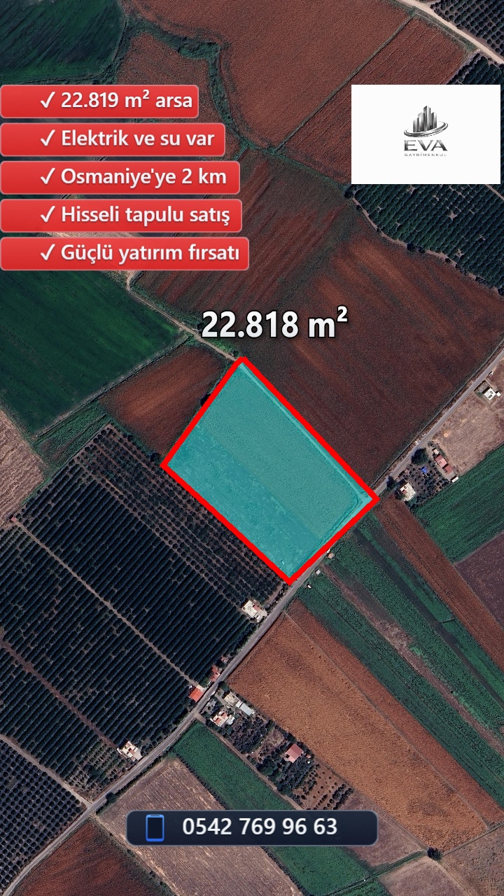 Aslaniye-135/12