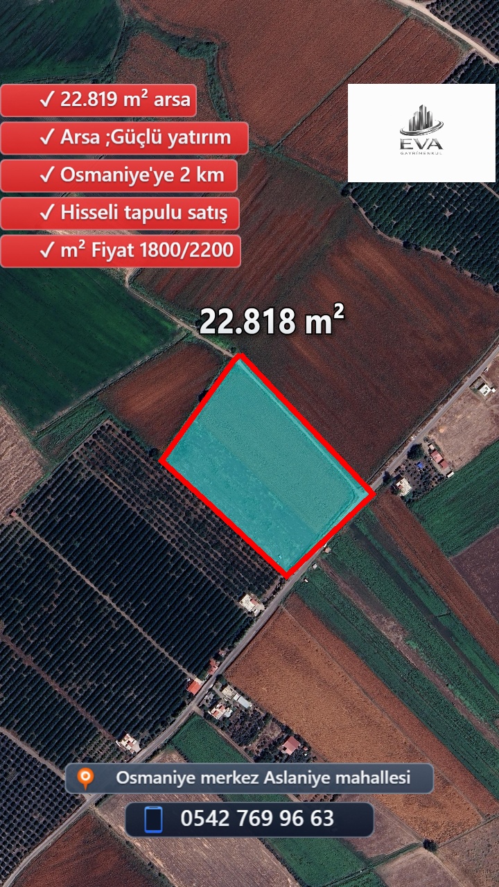 Aslaniye-135/12